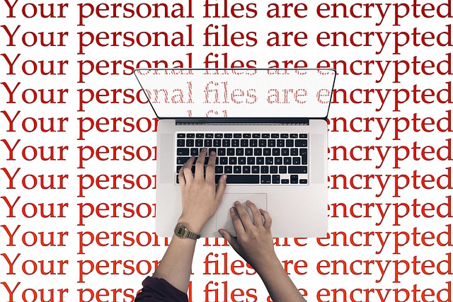 Laptop, im Hintergrud ist der wiederholte Schriftzug zu lesen 'your personal files are encrypted' laptop-2450220_640