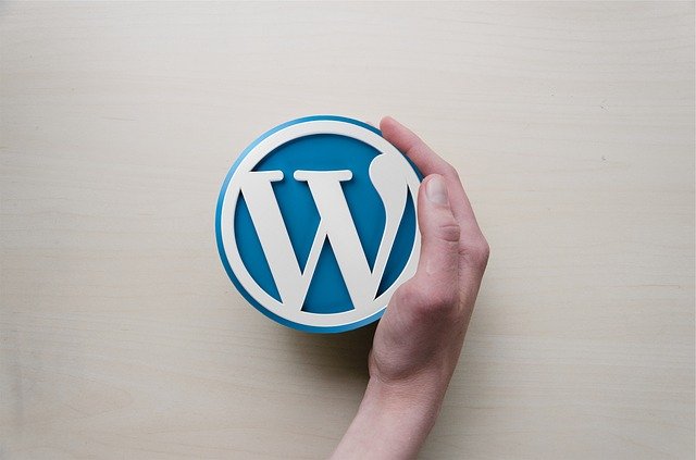 wordpress-589121_640 Bild, auf dem eine rechte Hand das Logo von WordPress (ein W) hält